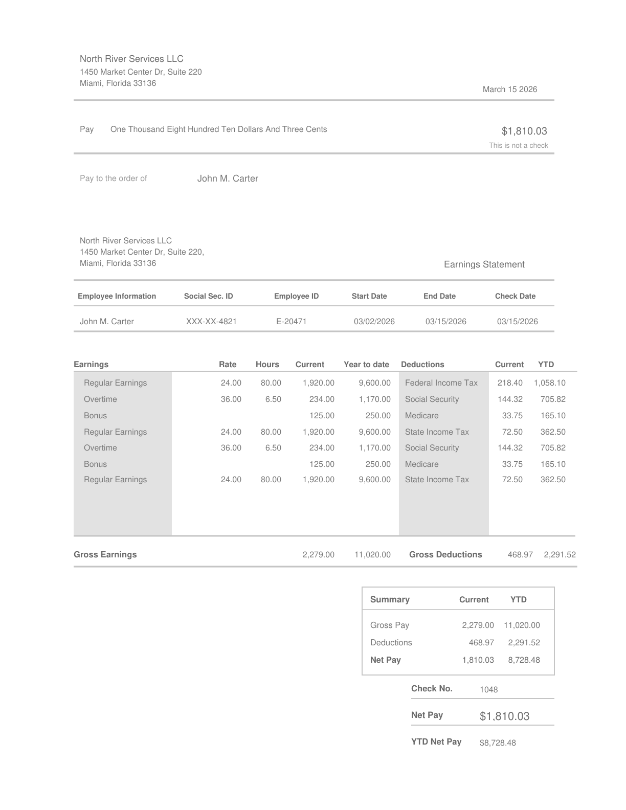 Professional paystub template preview